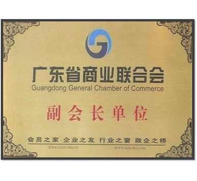 Vice President Unit of Guangdong Provincial Federation of Commerce